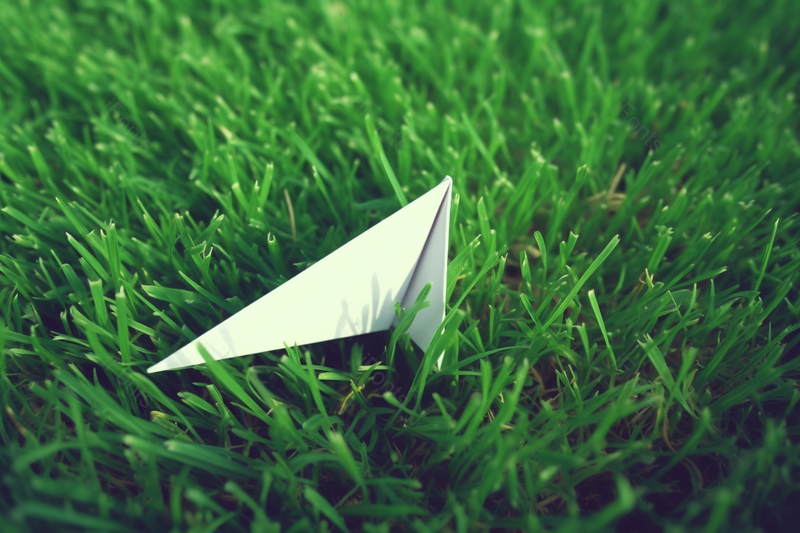 绿草地上的向往自由的白色纸飞机,高清,摄影图,摄影图片,图片大全,摄影图免费下载